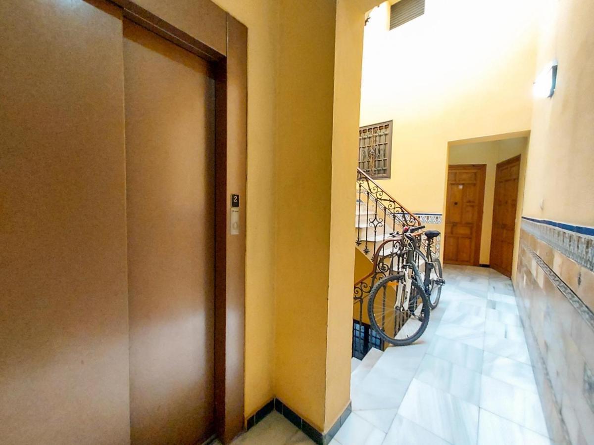 Apartamento Alameda Calatrava Sevilla Exterior foto